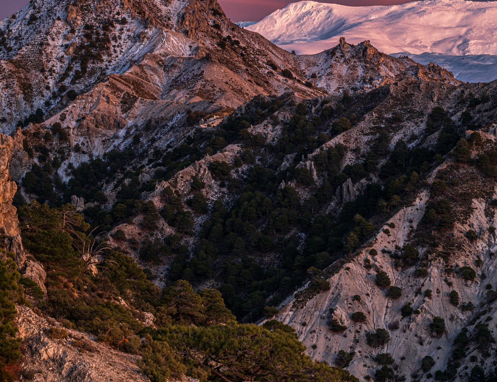 Descripción de la imagen