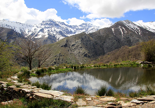 Descripción de la imagen