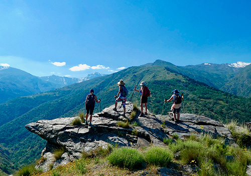 Descripción de la imagen