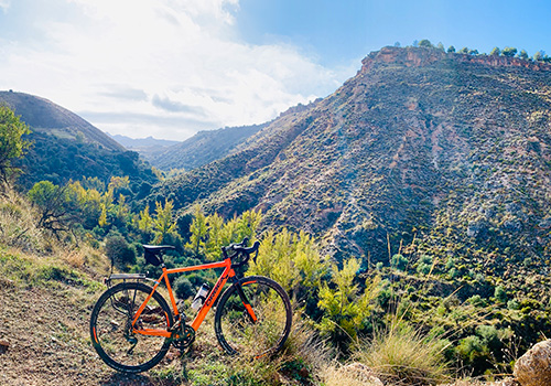 Descripción de la imagen